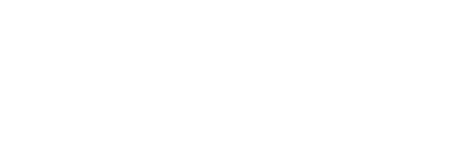 img logo 2Si Pro SAP